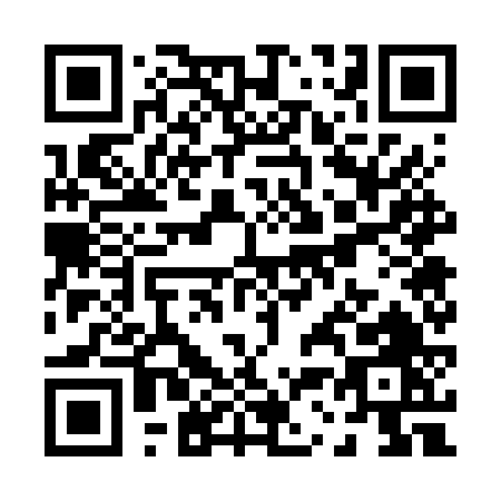 QR code for P376V