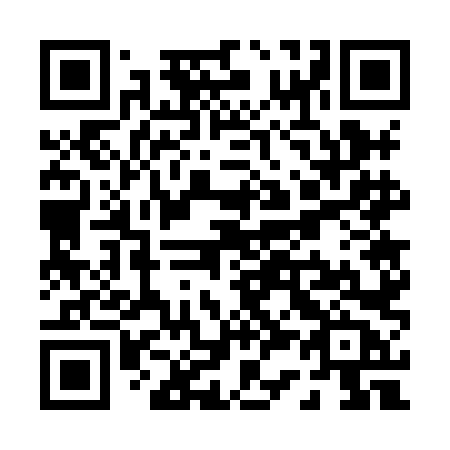 QR code for P378LB