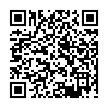 QR code for P379J