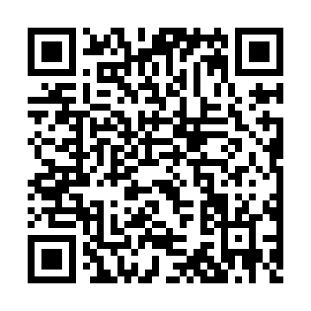 QR code for P379L