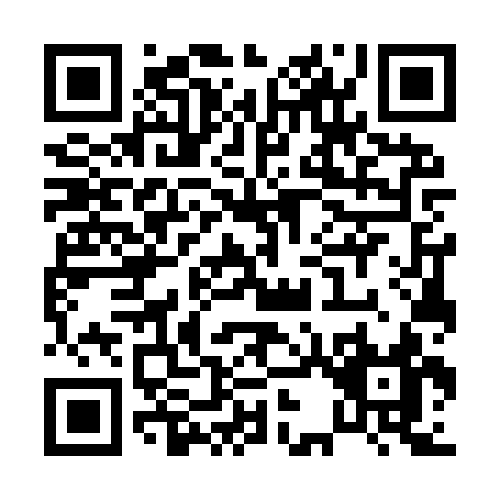 QR code for P379S