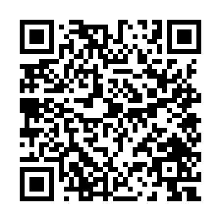 QR code for P379T
