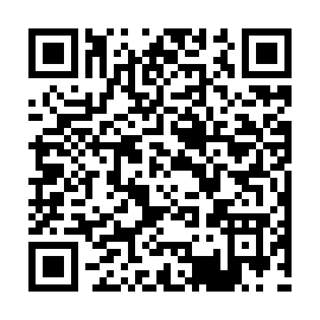 QR code for P379W