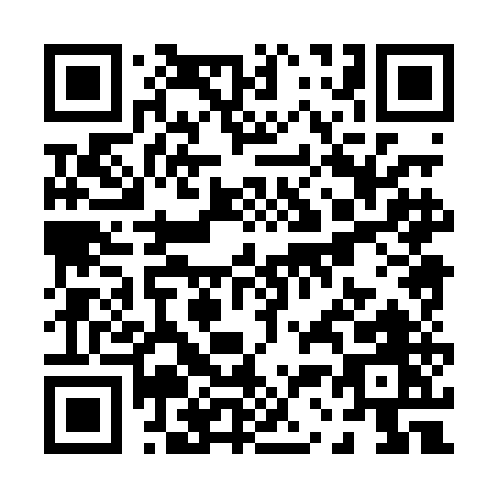 QR code for P380E