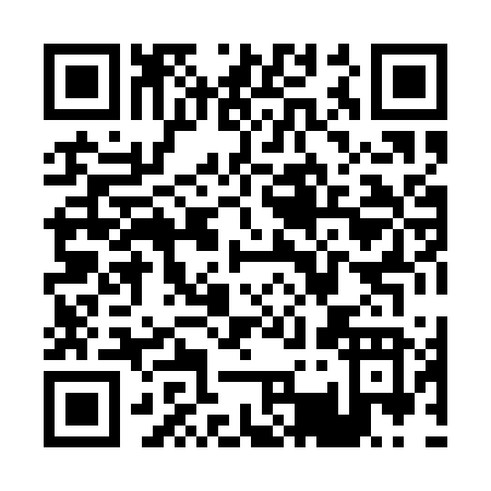 QR code for P381V