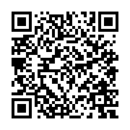 QR code for P382G