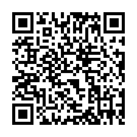 QR code for P382J
