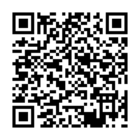 QR code for P382K