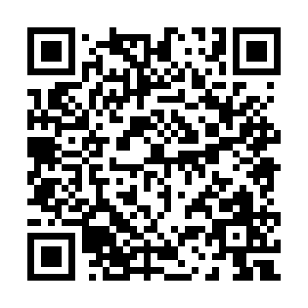 QR code for P382Q