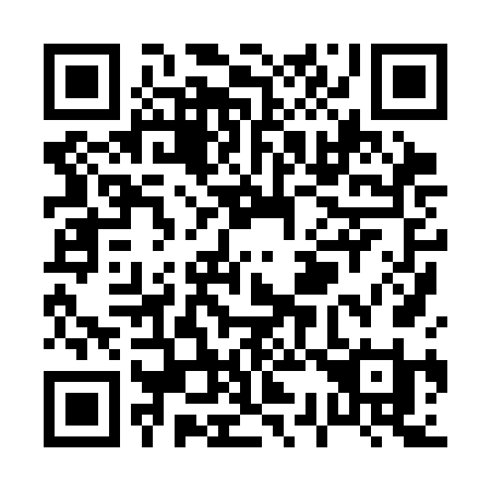 QR code for P383FI