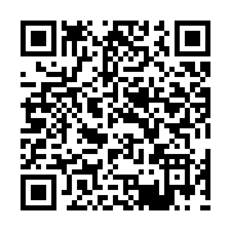QR code for P383Z