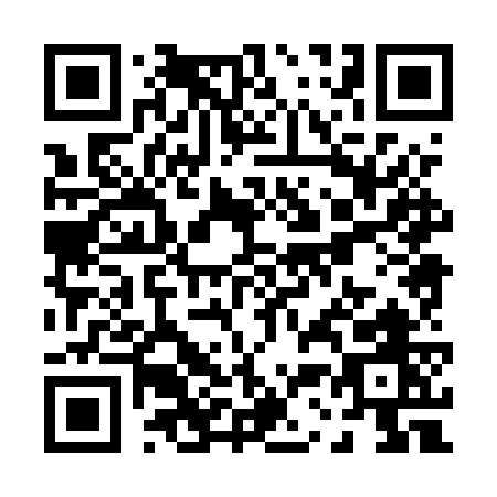 QR code for P385W