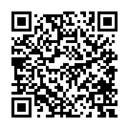 QR code for P386L