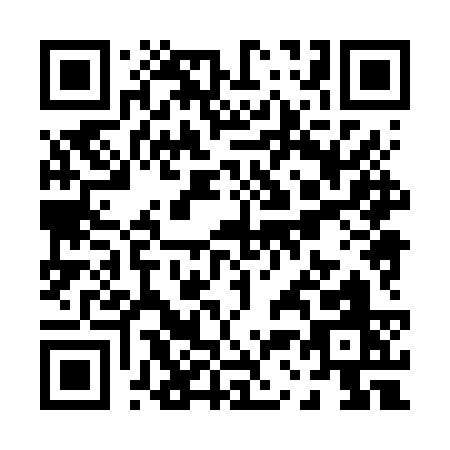 QR code for P386S