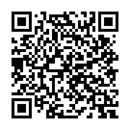QR code for P386WH