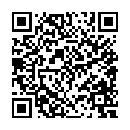 QR code for P386X