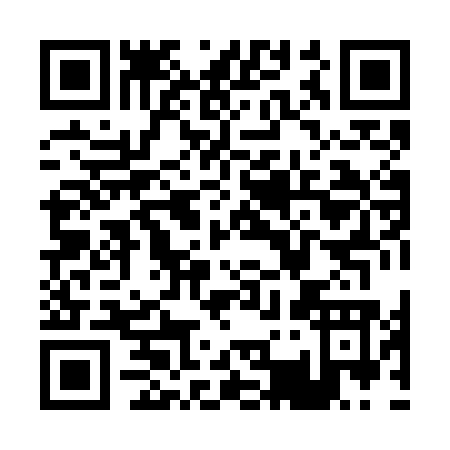 QR code for P387O