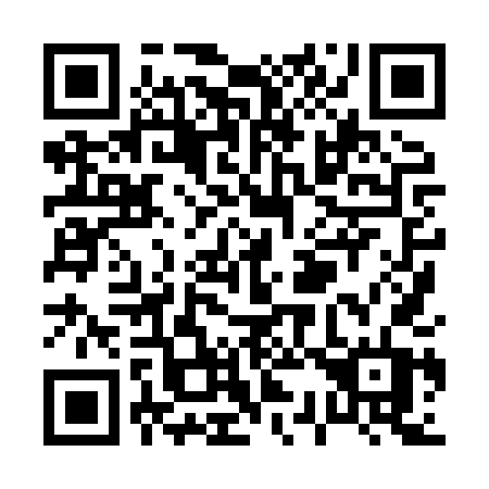 QR code for P388TT