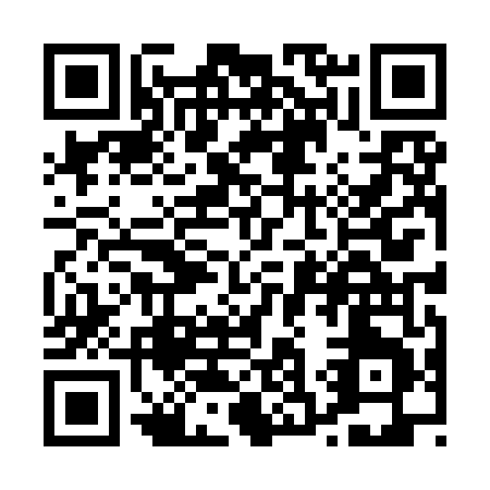 QR code for P389D