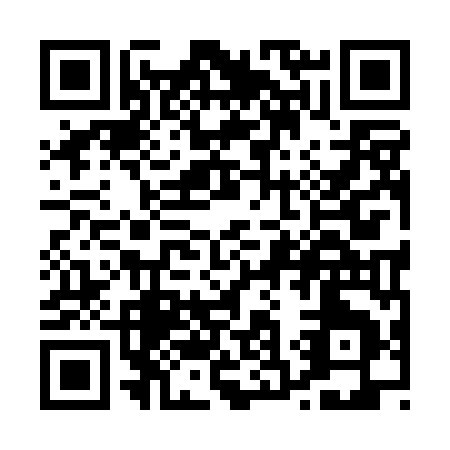 QR code for P390M