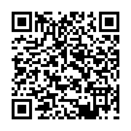 QR code for P392Y