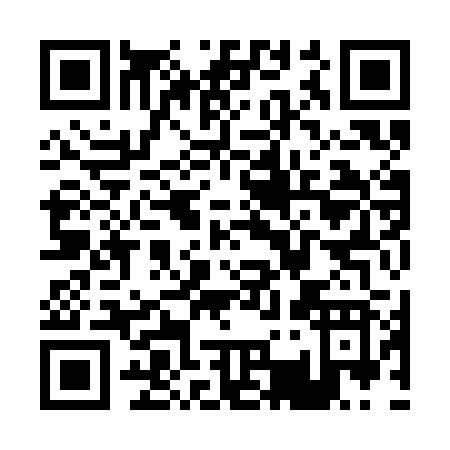 QR code for P393B