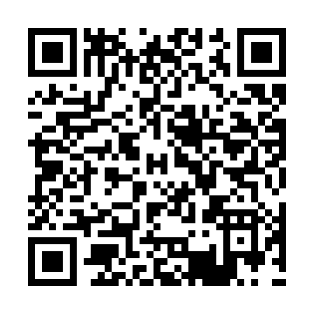 QR code for P393X