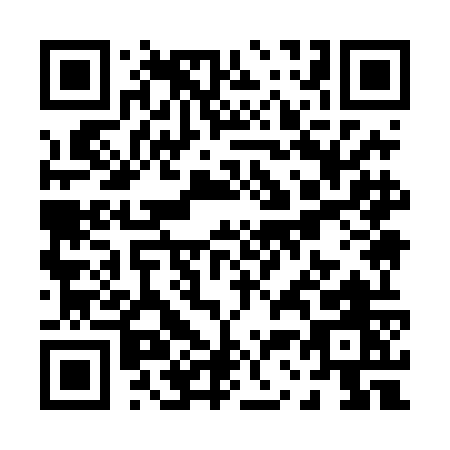 QR code for P394O