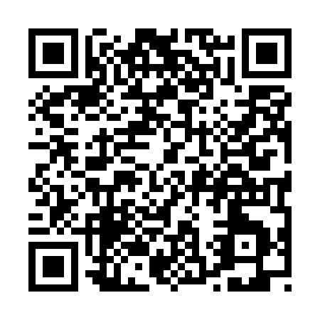 QR code for P395K