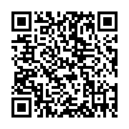 QR code for P395P