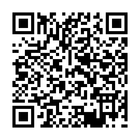 QR code for P396S