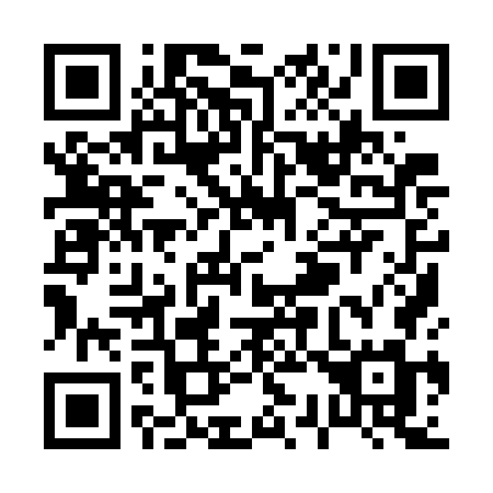QR code for P397GM