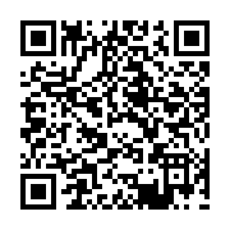 QR code for P397H