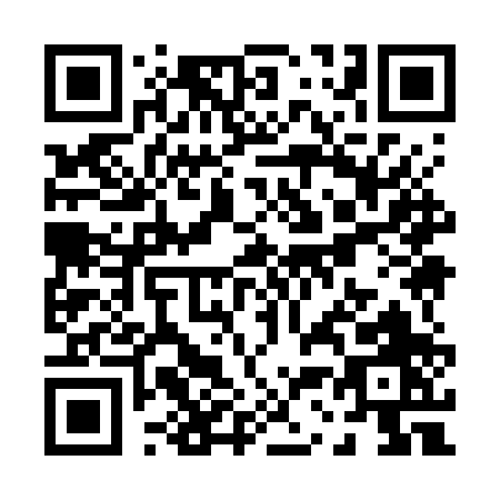 QR code for P397P