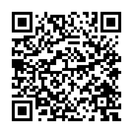 QR code for P397T