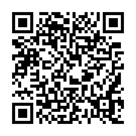 QR code for P397UN