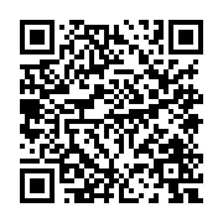 QR code for P398E