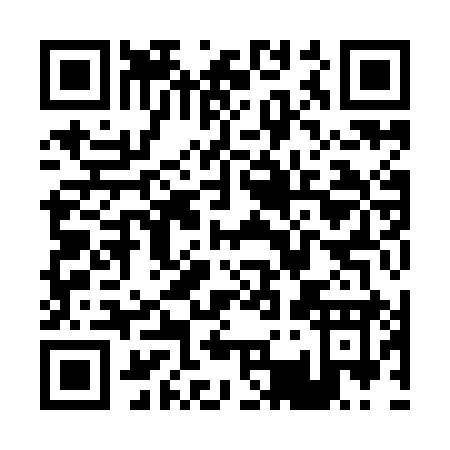 QR code for P399I