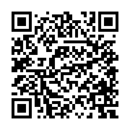 QR code for P400X