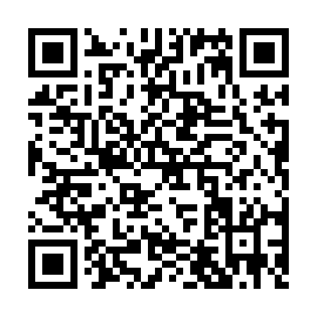 QR code for P401A
