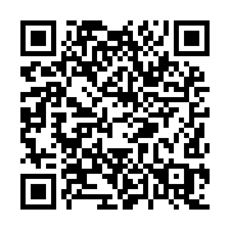 QR code for plate P40 9IC