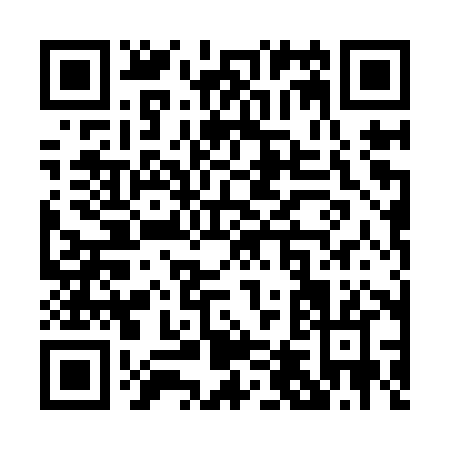 QR code for P409X