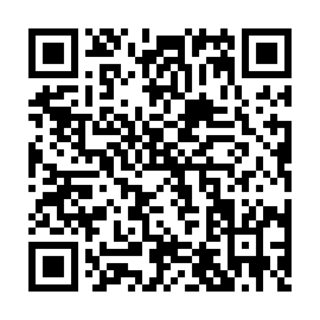 QR code for P410I