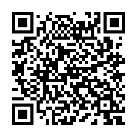 QR code for P411EN