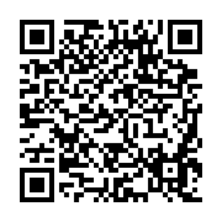 QR code for P413E