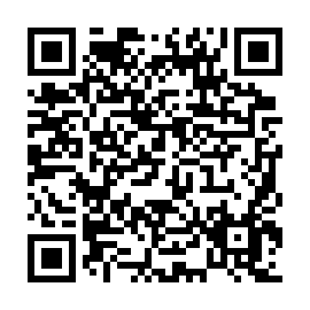 QR code for P413T