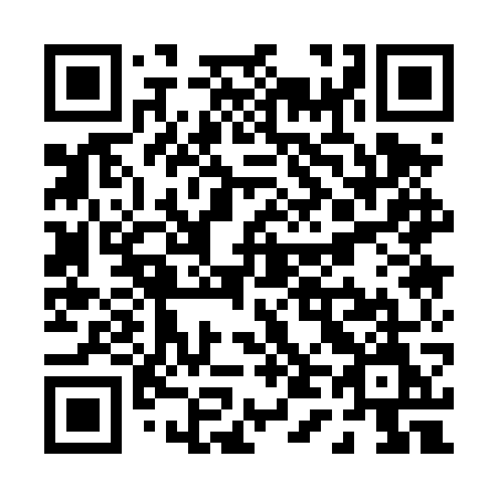 QR code for plate P41 4WM
