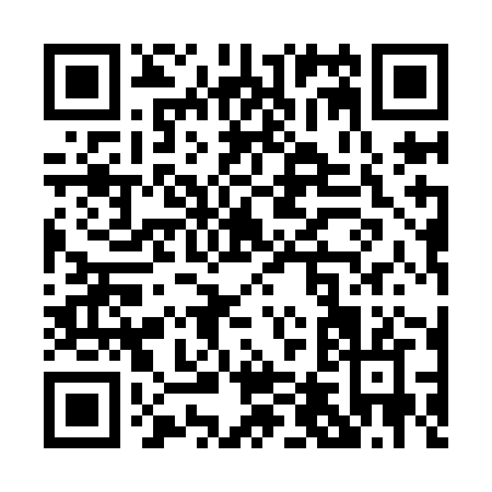 QR code for P419J