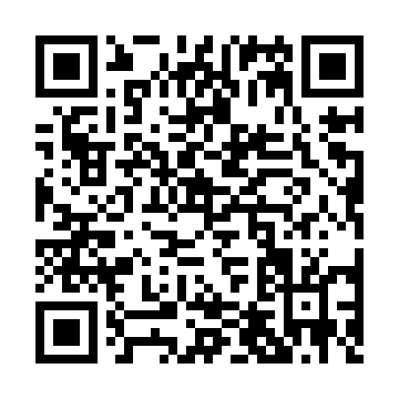 QR code for P419U