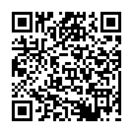 QR code for P420G